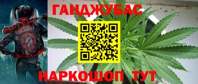 бошки Кимры