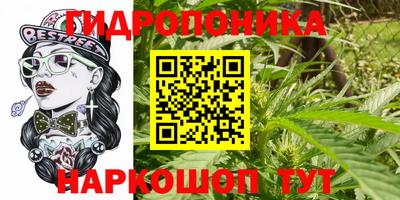 прущие крисы Кандалакша